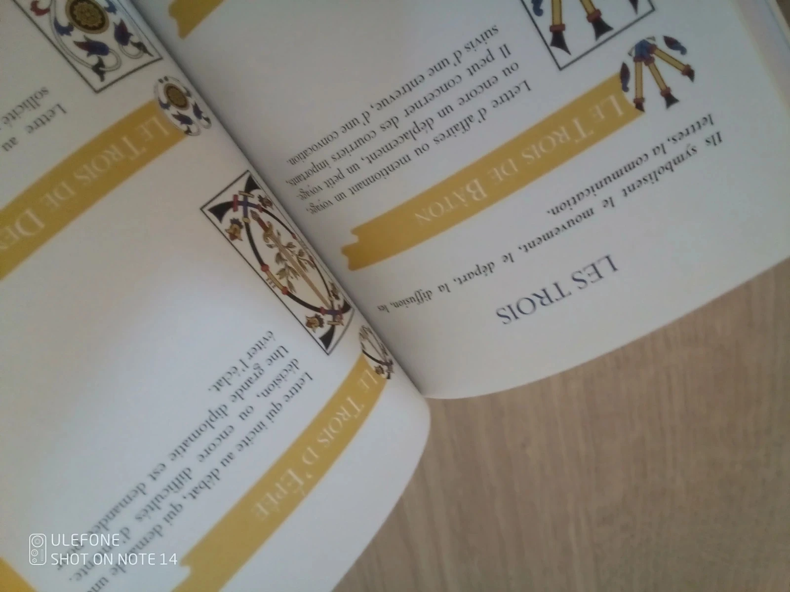 O tarô em ação L. Pelegry oráculo carta cartomancia adivinhação – photo 5